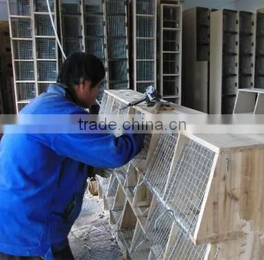 Iron Wire Mesh,galvanized Wire Mesh Panel photo-5