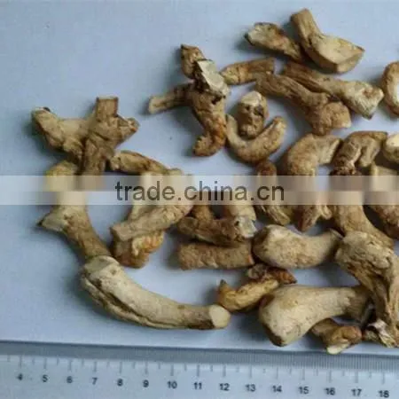 Wholesale High Quality Dry Shiitake Mushroom Price photo-3