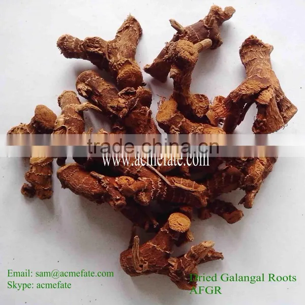 New Crop Air Dried Galangal Root Spice Herb