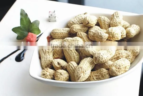 Best Peanuts With Top Grade From China photo-5