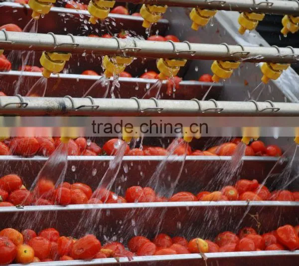 Bulk Tomato Paste in Drum Chinese Crop photo-4