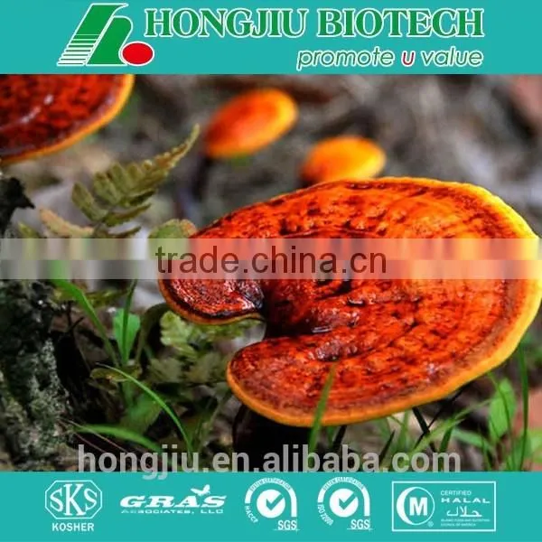 Ganoderma Lucidum Extract/Ganoderma Extract/Ganoderma Lucidum