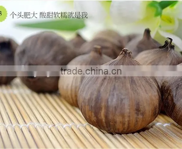 Japanese Top Quality Black Garlic photo-3