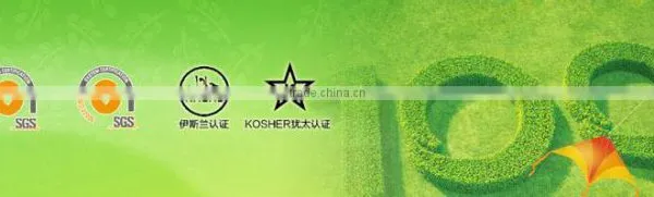 Msg Factory Supply High Quality Corn Bran for Forage Use photo-2