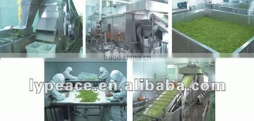 Our Factory Procedures for Dehydrated Vegetables