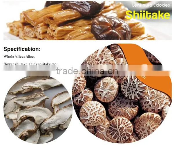 Dried Shitake Mushroom for Importer photo-5