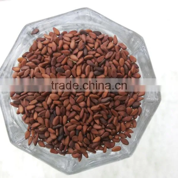 Brown Sesame Seeds