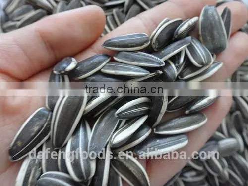 Hetao Sunflower Seeds5009.3939.3638.363,135.909 photo-6