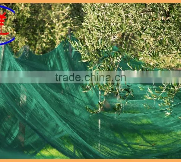 HDPE Virgin Material Agricultura Fruit Collecting Olive Harvesting Net photo-3