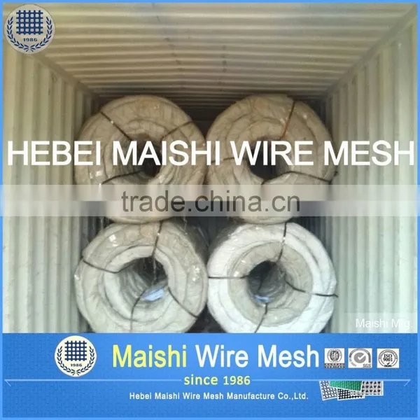 Hot Diped Galvanized Razor Barbed Wire (z)/Prison Barbed Wire photo-5