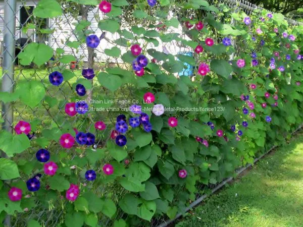 Residential Chain Link Fence photo-5