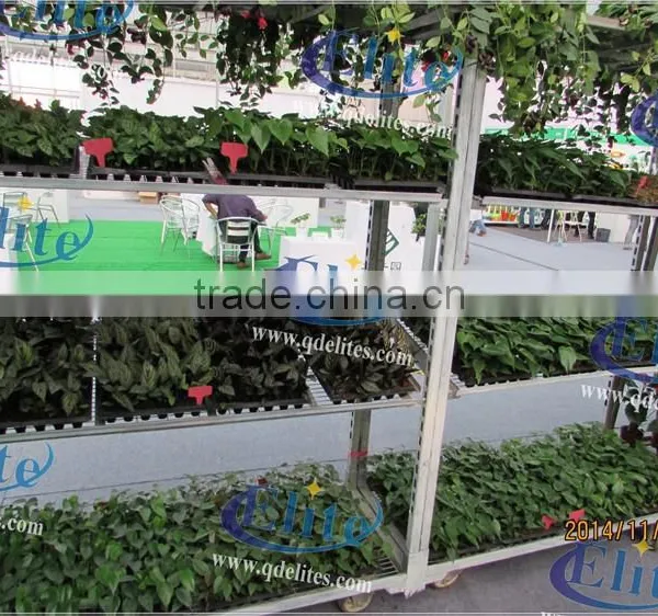 428 Danish Flower Trolley For Culture of Seedling photo-4