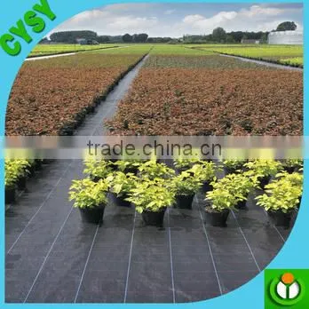 [Manufacturer] PP/PE Woven Anti Weed Mat, Weed Control Mat Made up of Pp/pe photo-6