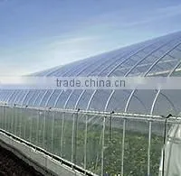 Tunnel Greenhouses With Supporting Systems photo-2