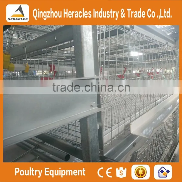 Shandong High Quality Trade Assurance Poultry Equipment Layer Chicken Cage for Sale photo-6