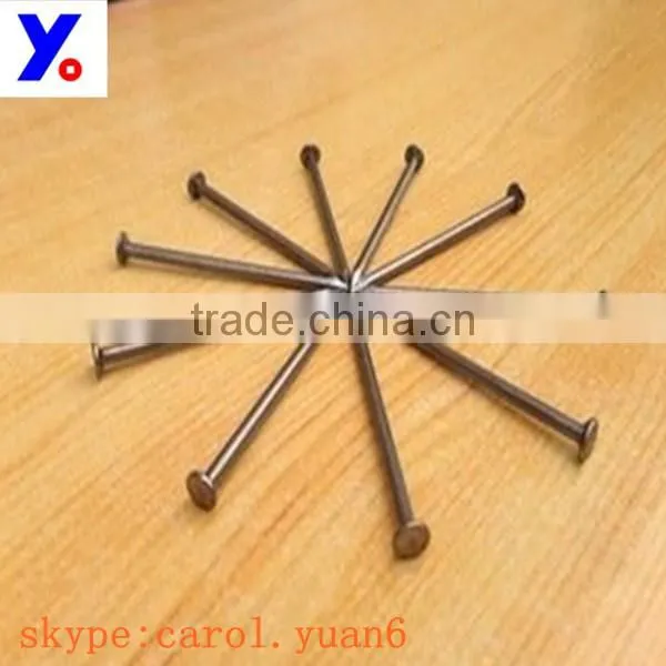 10d Common Wire Nail From ShiJiaZhuang Supplier photo-2