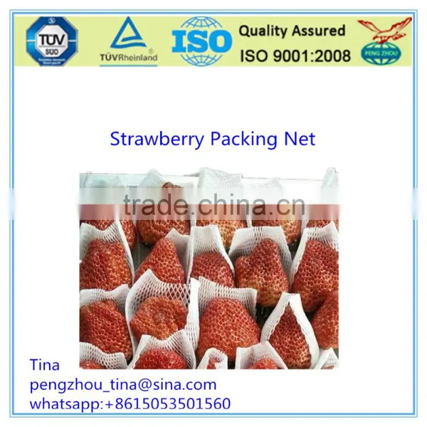 First-Rate Competitive PE Flower Packing Net photo-2