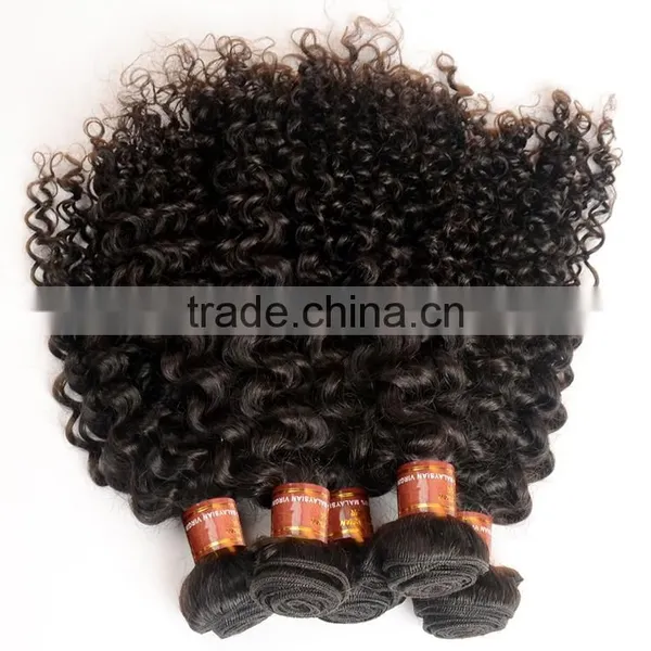 100% Human Braiding Hair Kinky Culry Virgin Hair Mongolian Afro Kinky Human Hair For Braiding photo-5