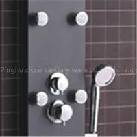 CICCO Safety Glass Shower Panels In Shower Room SP2-031