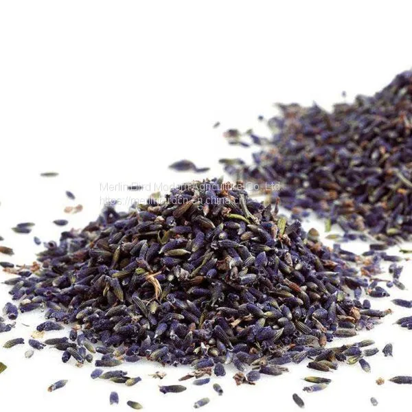 Improve Sleep Lavender Flower Herbal Tea photo-2