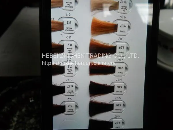 Detachable Hair Color Chart photo-2