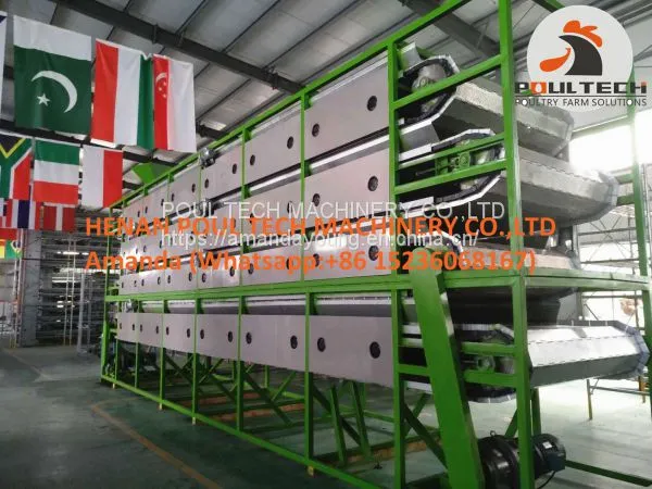 Chicken Manure Drying Machine & Chicken Manure Dryer Machine photo-4