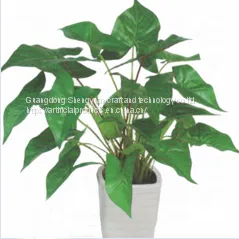 China Wholesale Artificial Caladium Tree Bonsai for Decoration With Real Looking Leaves