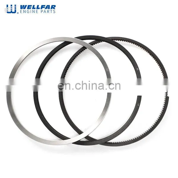 Wellfar Machinery Engine Parts DT466E DT530E Engine Piston Ring 1830723C92 1830724C92 photo-3