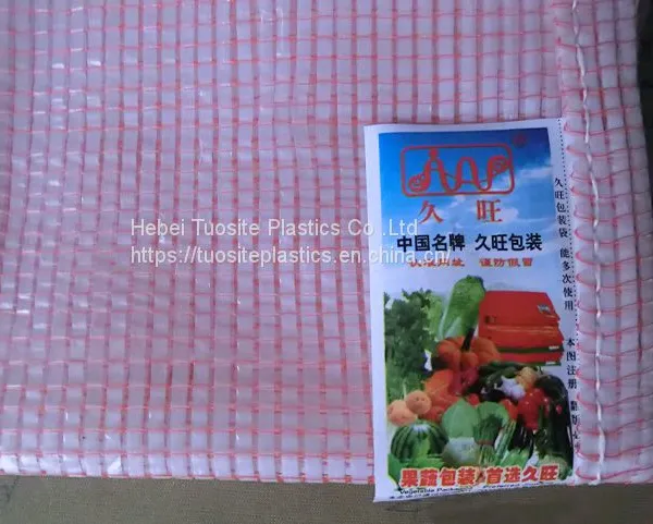 50kg Onion Potatoes Bag Agriculture New Polypropylene Material PP Mesh Bag photo-4