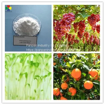 6ba Plant Rooting Hormone 6bap 6benzylaminopurin 99%tc photo-2