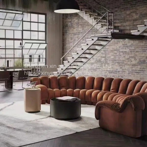 Good DS-600 De Sede Sofa for Living Room photo-2