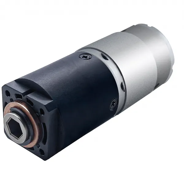 Factory Direct Sale Customized Low Speed High Torque Mini DC Gear Motor for Coffee Grinder