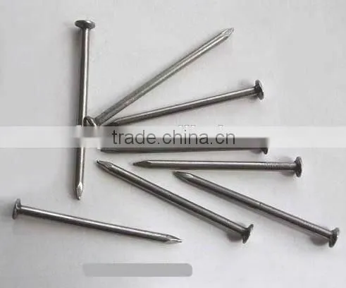 High Quality and Low Price Polished Wire Nail Made in China Supplier photo-3