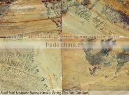 Fossil Sandstone
