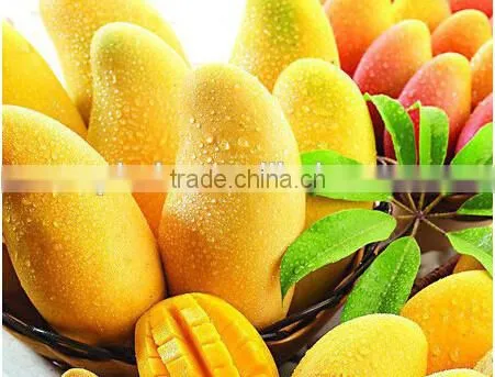 Good Quality Double Channel Pulper Machine With Reasonable Price photo-6