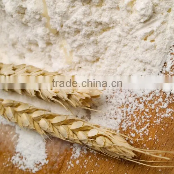 Wheat Flour for Sale in Bulk