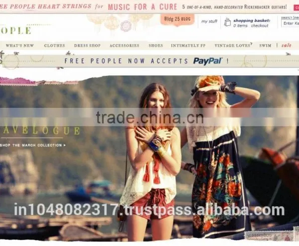 Web Designing and Development Software Development photo-5
