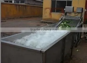 cherry tomato grading machine