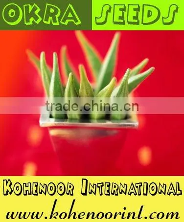 OKRA SEEDS (OP)