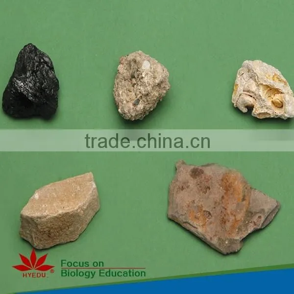 100pcs Rock Stone Thin Section Slides set