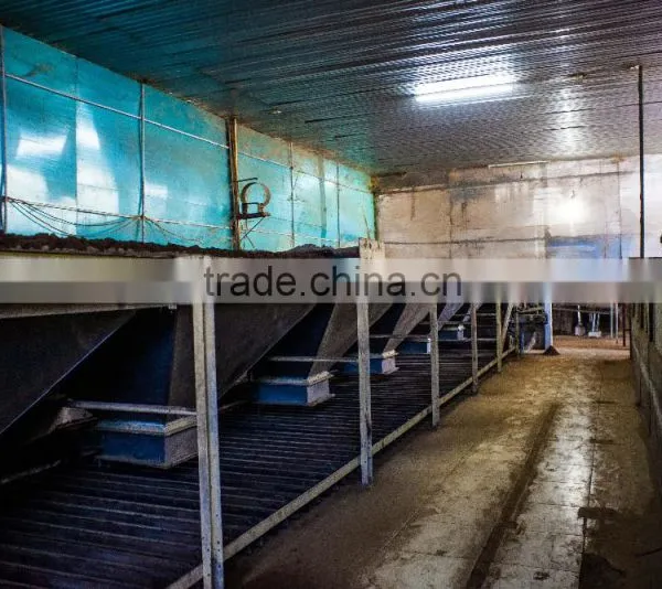High Quality Tea and Compitive Price Green Tea SP2 photo-5