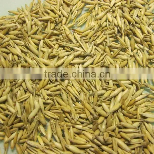 Oats