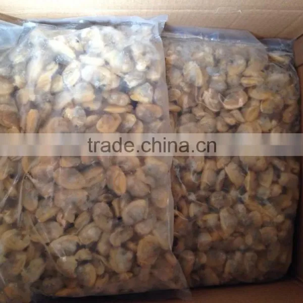 Frozen Short Neck Clam Meat photo-3