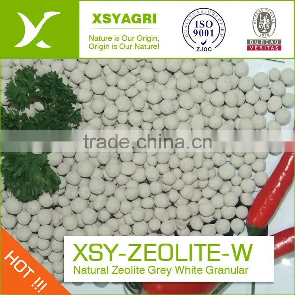 Clinoptilolite High CEC Green Nature Zeolite for Water Treatment photo-5