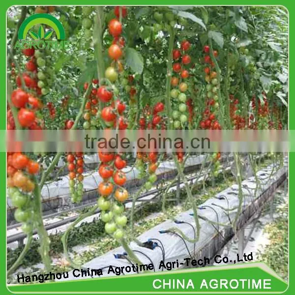 Indoor Hydroponics Growing System photo-2