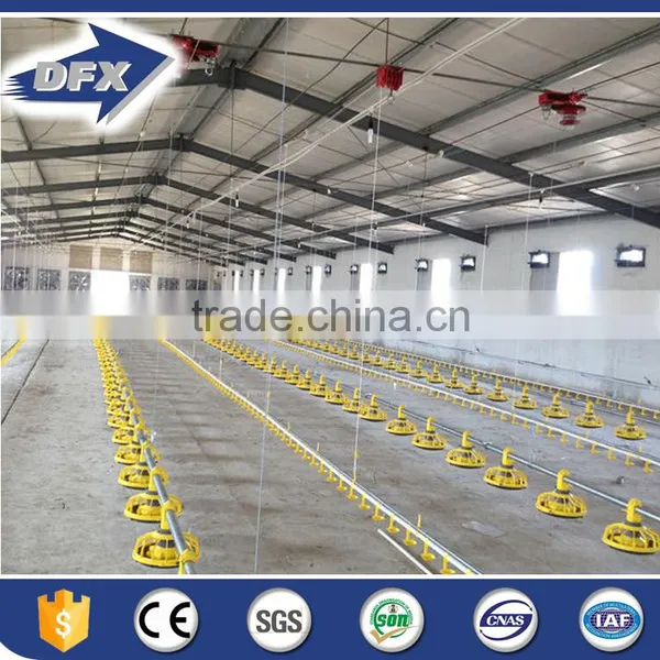 China Large Span Chicken Egg Poultry Farm photo-2