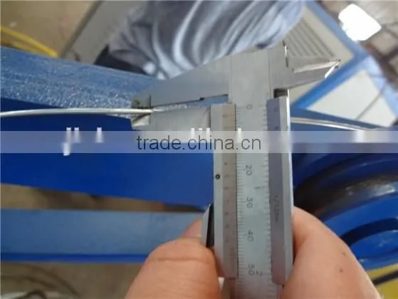 Welded Galvanized Wire Mesh Roll for Making Gabion Boxes photo-4
