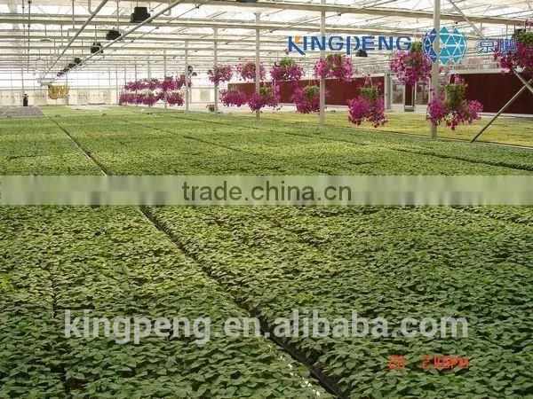 Vegetable Growing Greenhouse photo-2