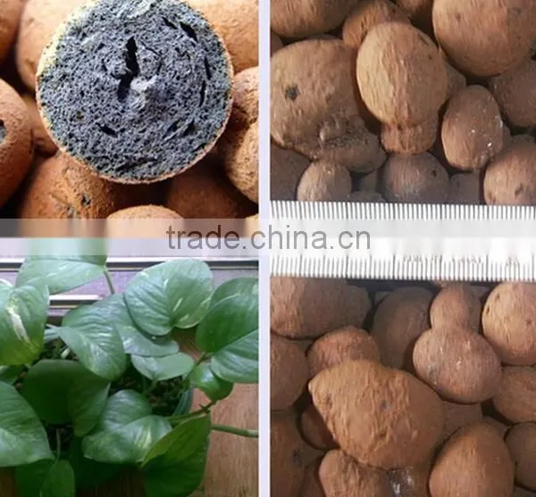 Expanded Clay Manufactures Imports Leca Expanded Clay With Lowest Price photo-6