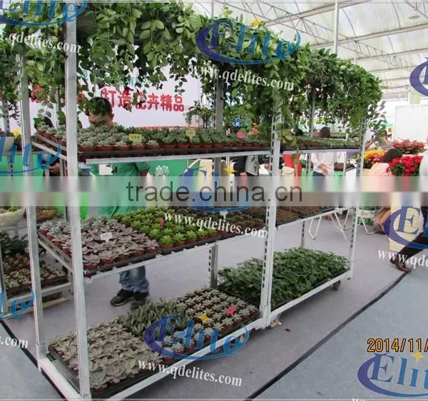 251Seedling Trolleys photo-4